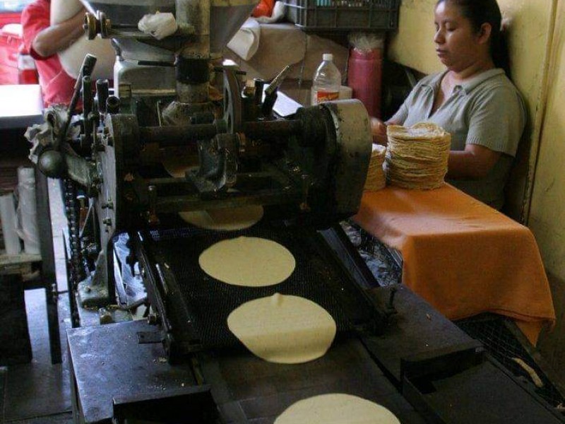Hasta marzo podría darse un incremento al kilo de tortilla