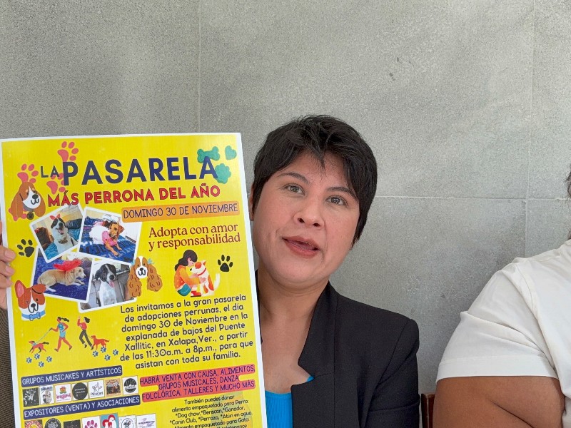 Hasta seis rescates al mes realizan defensores de derechos animales