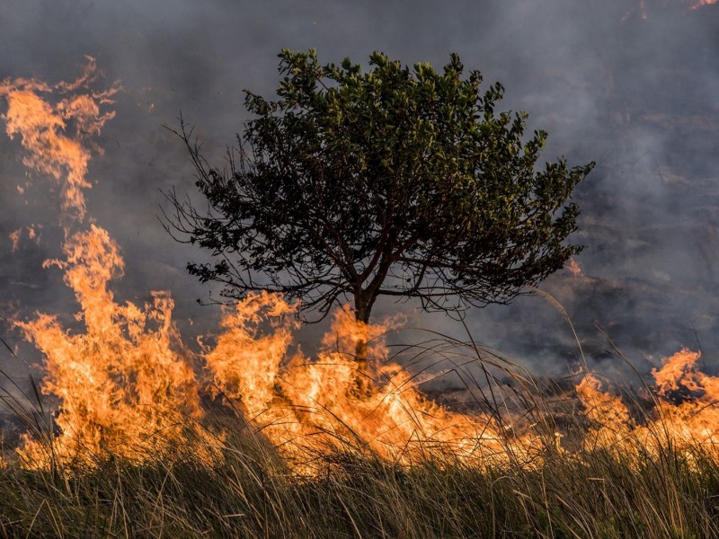 Reportan 2 incendios forestales activos en el estado de Durango.