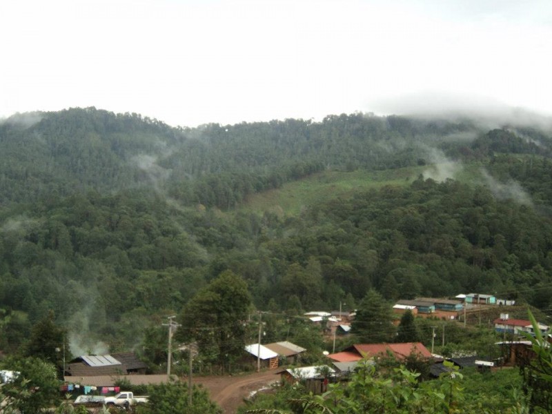 Hay 20 kilómetros con derrumbes, señalan campesinos sierra de Coyuca