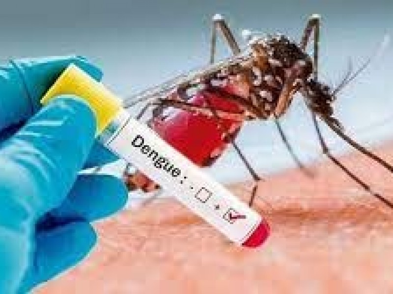 Hay 32 casos de dengue en Puebla