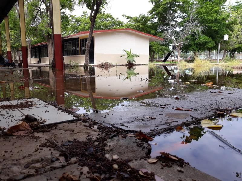 Lluvias afectan 39 escuelas en Sinaloa; algunas siguen a distancia