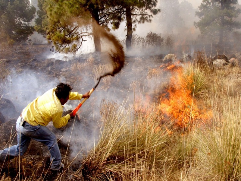 Hay 84 incendios activos en México