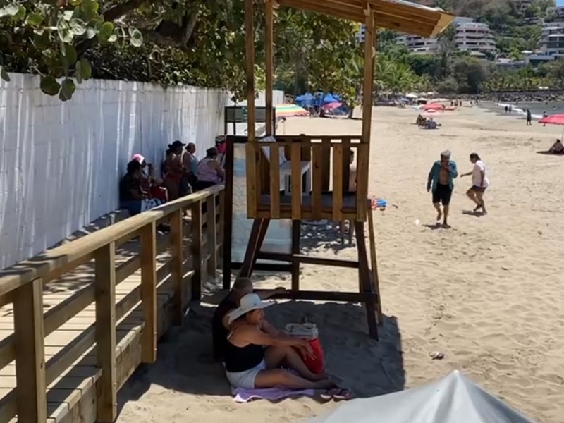 Hay constante supervisión con fauna silvestre en playas de Ixtapa-Zihuatanejo