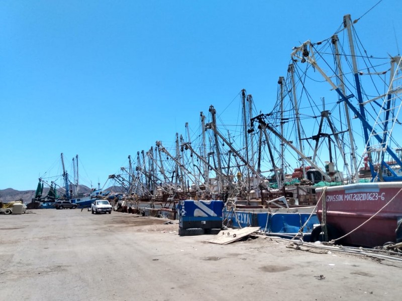 Basura marina afecta producción pesquera