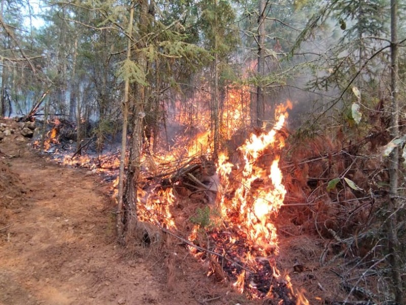 Hay dificultades para apagar incendio en Ixtacamaxtitlán