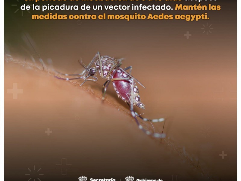 Hay en Michoacán 46 casos de dengue; ocho, de gravedad