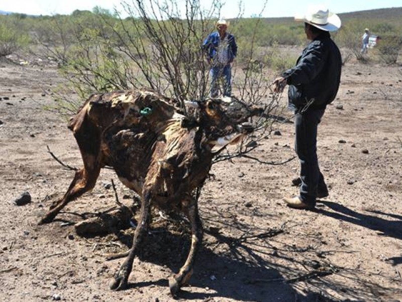 Hay escasez de agua en Sinaloa