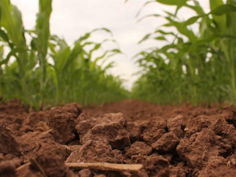 Hay mayor tranquilidad en el campo con reasignación