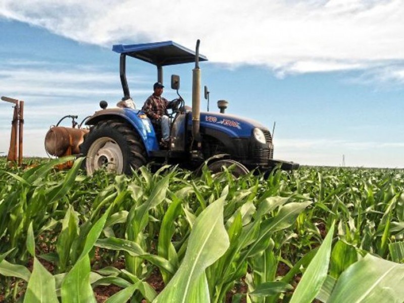 Hay nerviosismo en productores por intenso frío