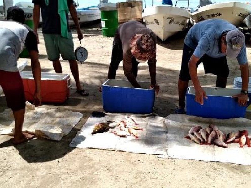 Hay poca pesca, tras el paso de Dolores por Zihuatanejo