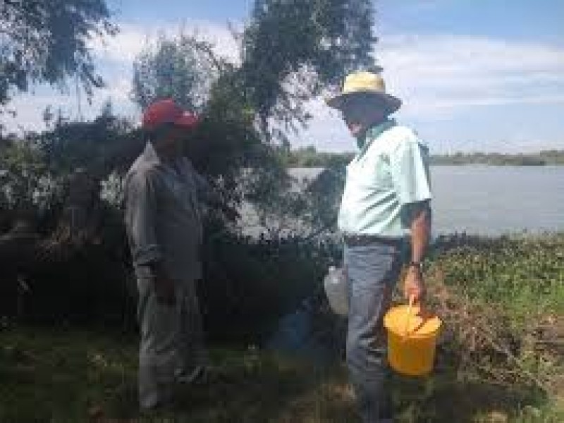 Hay presencia de metales pesados en el agua