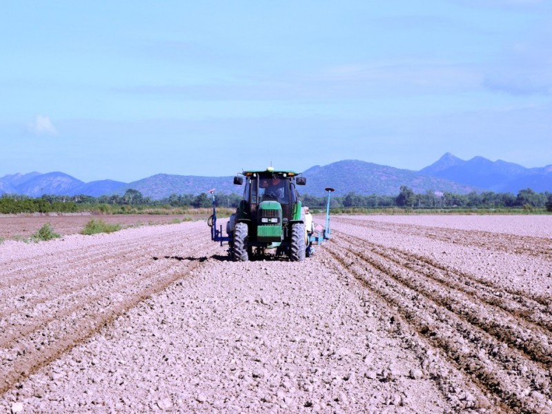 Hay restricciones en permisos de siembra por falta de agua