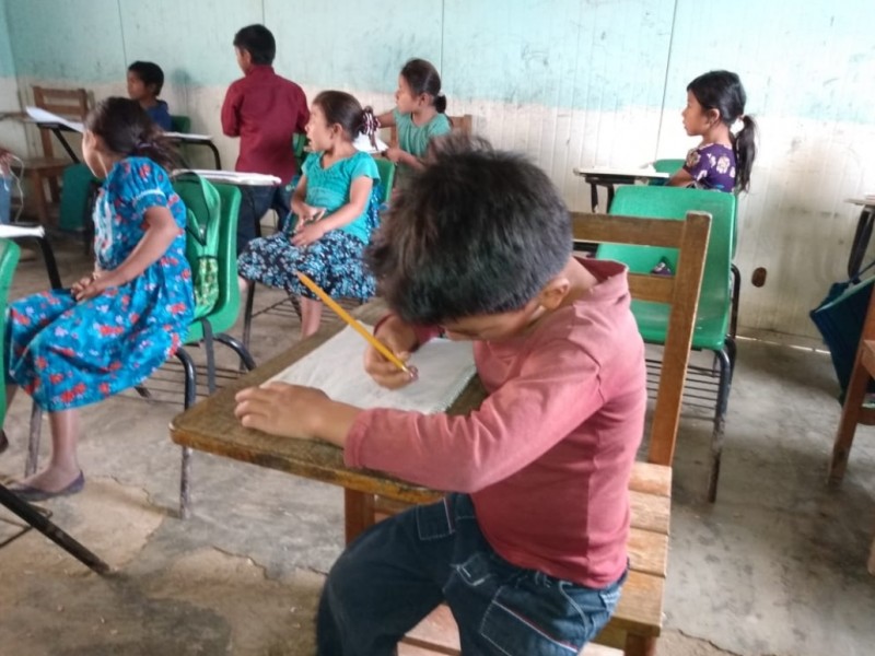 Hay semáforo verde, pero sin condiciones para clases presenciales