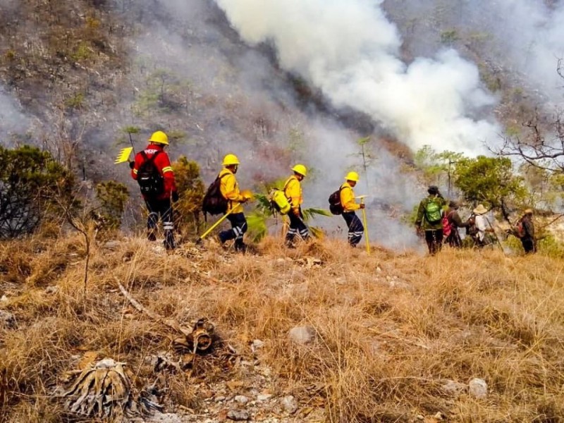 Helicóptero de SEMAR combate incendio de selva en Chimalapa