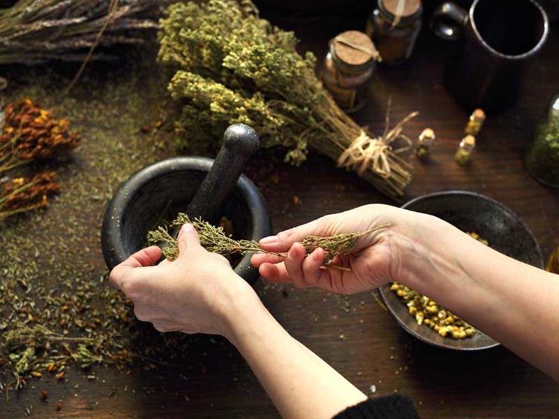 Herbolaria, aromaterapia y remedios caseros para enfermedades respiratorias