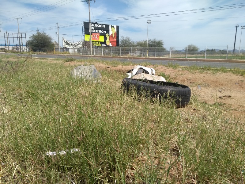 Hermosillo tendrá “Basura Challenge”