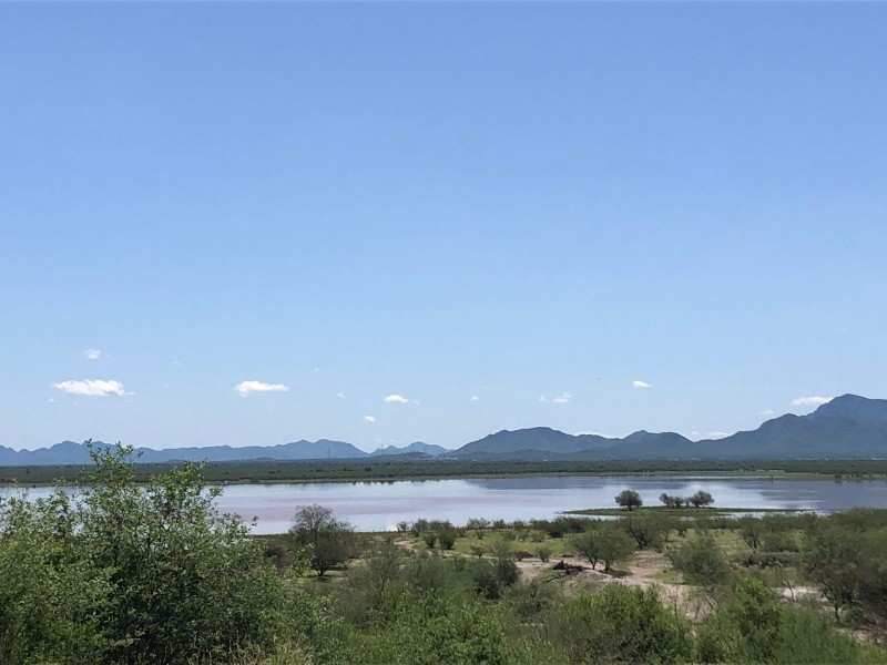 Hermosillo tendrá descanso de lluvias este inicio de semana