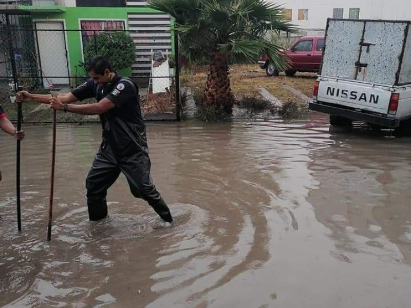 Hierba y basura colapsan canales de agua inundando Brisas