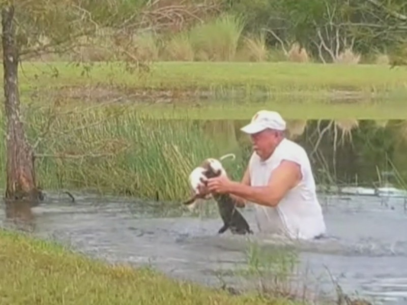 Hombre lucha contra cocodrilo para salvar a su perro