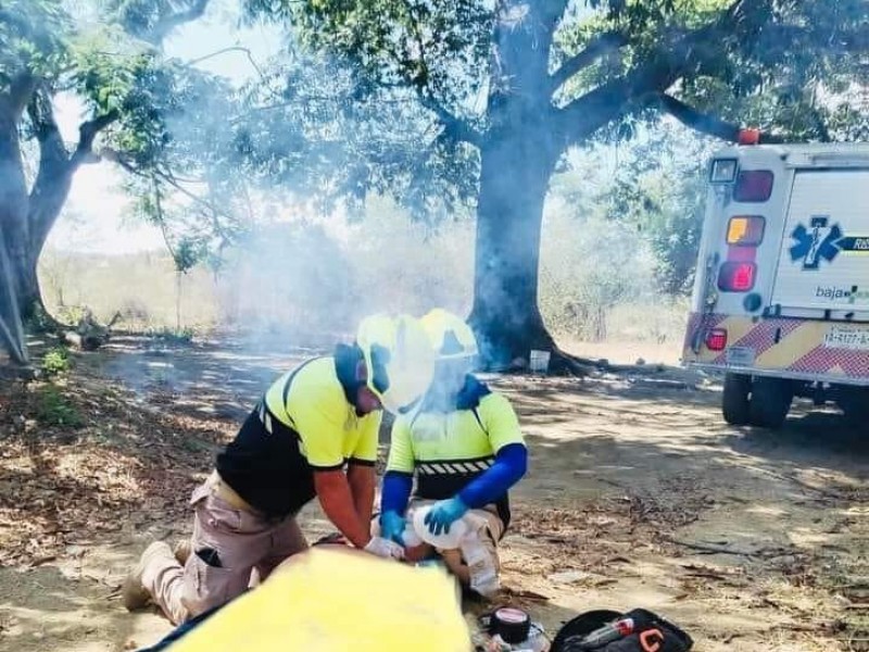 Hombre muere tras picaduras de abejas