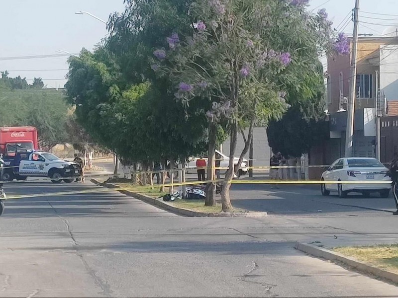 Hombre pierde la vida tras impactarse con árbol