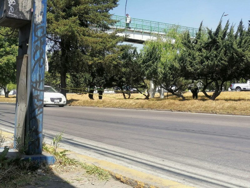 Hombre sin vida debajo de un puente en Toluca