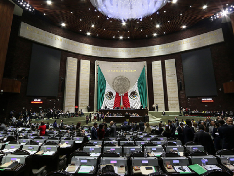 Hombres ocupan los mejores puestos en Cámara de Diputados: Diputada