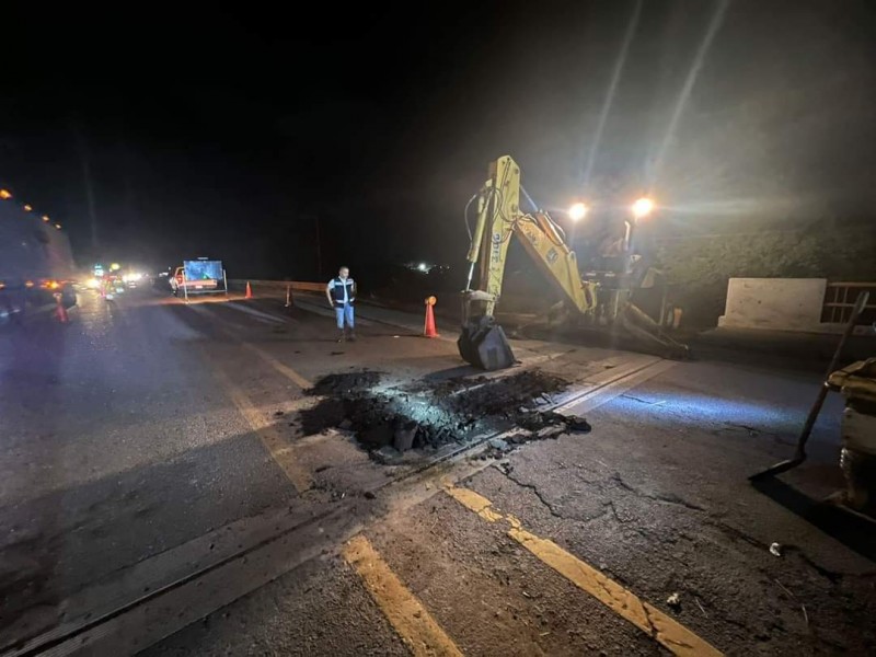 Hormigas devoraron y afectaron tramo de carretera federal 200