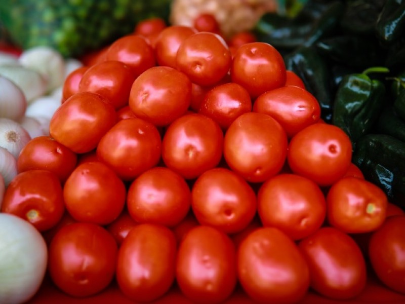 Horticultores afectados por  caída del precio del tomate