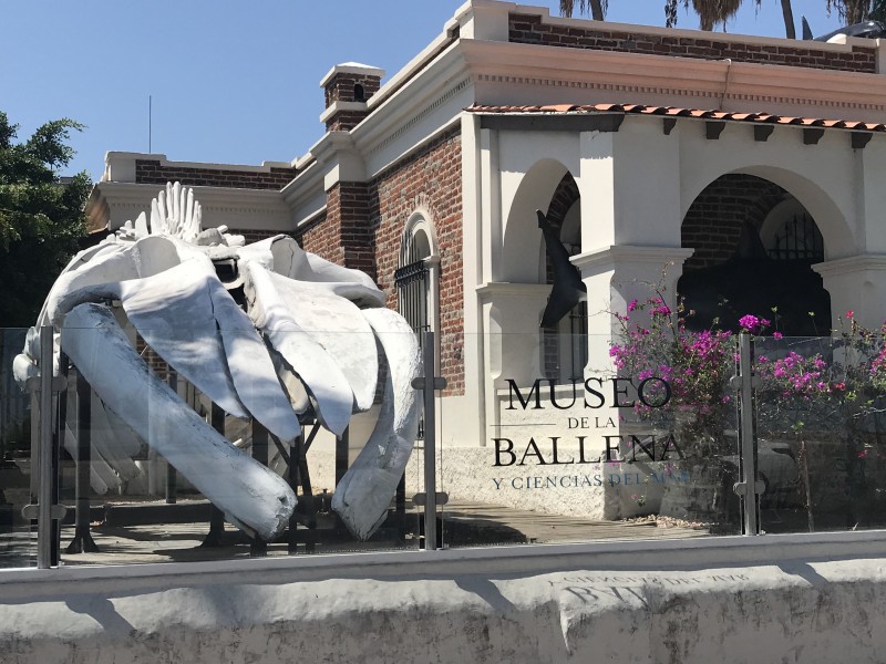 Inspectores hostigaron al museo de la ballena