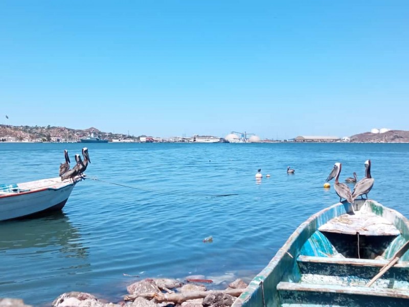 Hoy Día Internacional de la Lucha Contra la Pesca Furtiva