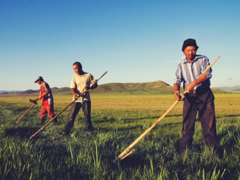 Hoy es el Día Mundial de la Lucha Campesina