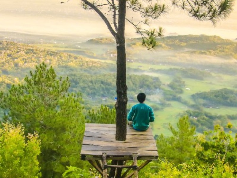 Hoy es el Día Mundial de los Guarda Forestales