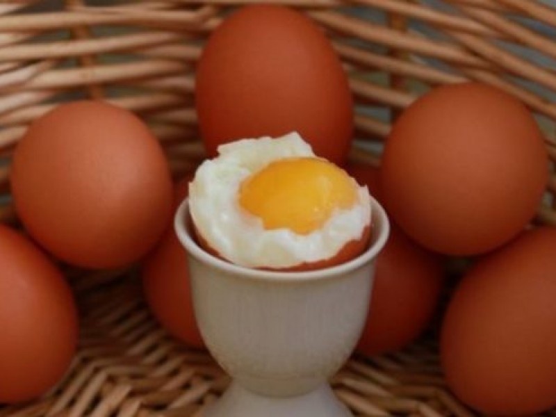 Hoy es el Día Mundial del Huevo