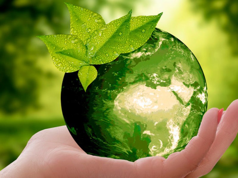 Hoy es el Día Mundial del Medio Ambiente