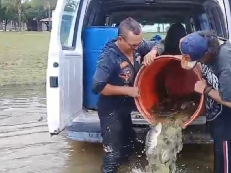 El Palote llega al 46%, hoy siembran más peces de El Molino