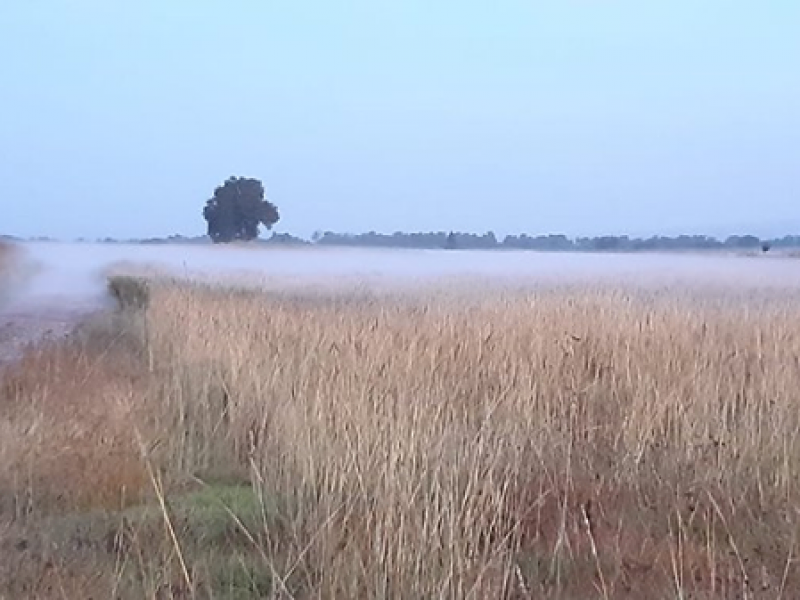 Hoy quedará sellada la toma clandestina de San Nicolás Tolentino