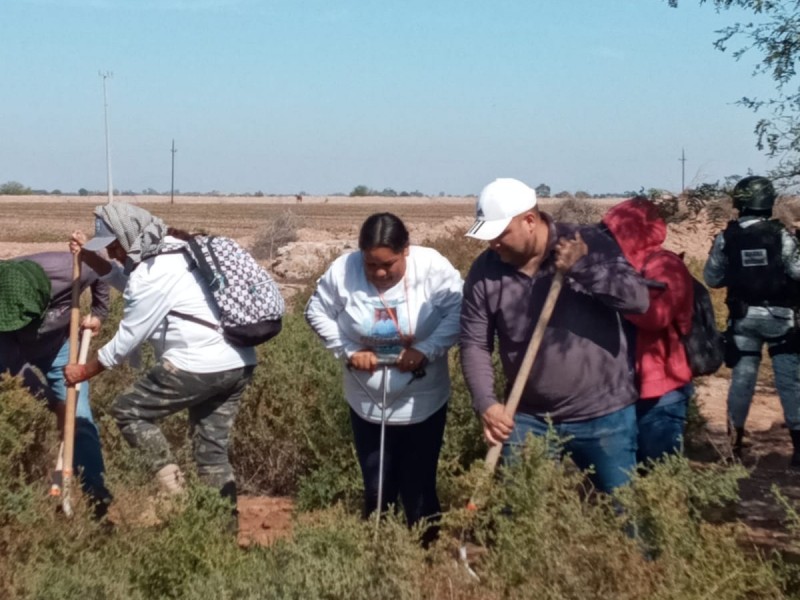 Huatabampo: Anuncia colectivo jornada de búsqueda para este domingo