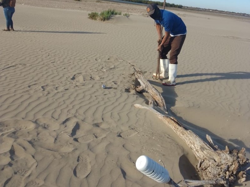 Huatabampo: Inicia este lunes arreglo de playas