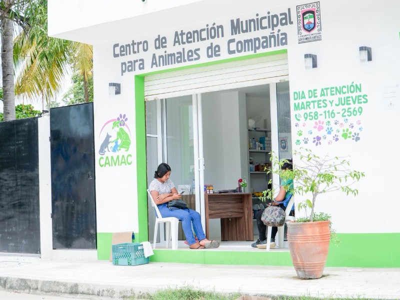 Huatulco refuerza campaña de esterilización y castración de mascotas