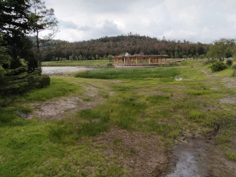 Humedal del Parque Sierra Morelos luce seco pese a lluvias