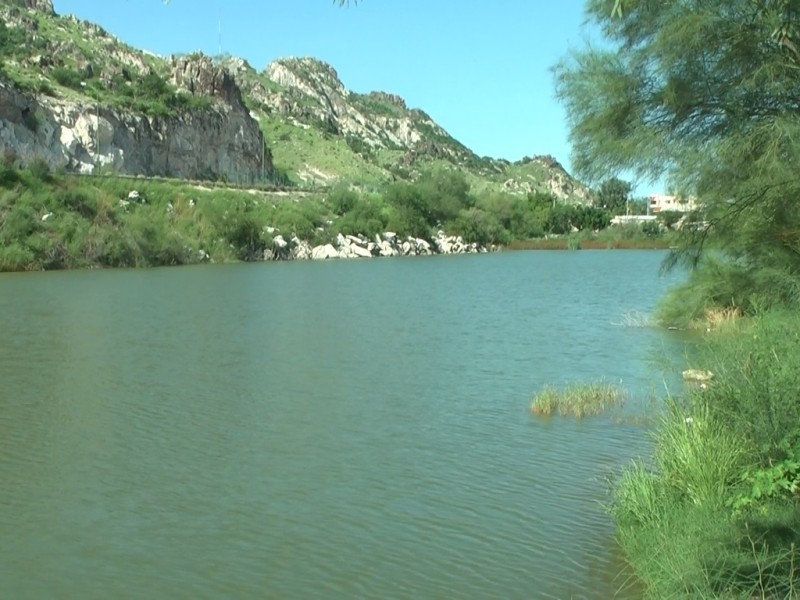 Humedales de Hermosillo mantienen niveles