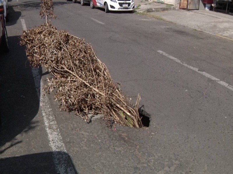 Hundimiento en la calle Carlos Cruz