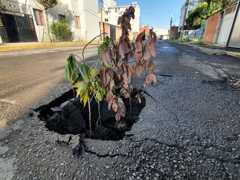 Hundimiento en la Vicente Guerrero afecta a tránsito vehicular