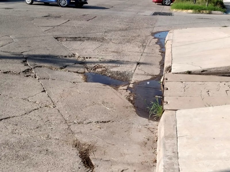 Hundimientos y baches un peligro sobre el bulevar Río Fuerte