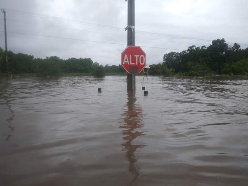 Huracán Enrique deja inundaciones y árboles caídos en Lázaro Cárdenas