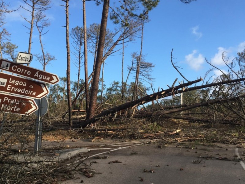 Huracán Leslie deja 27 heridos en Portugal