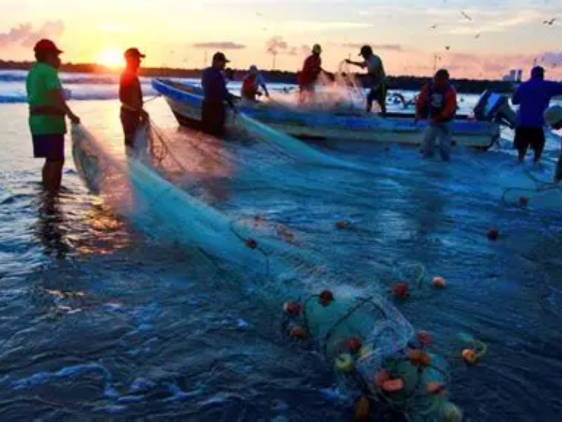 Huracán “Priscila” arrasa con la zafra camaronera en Nayarit