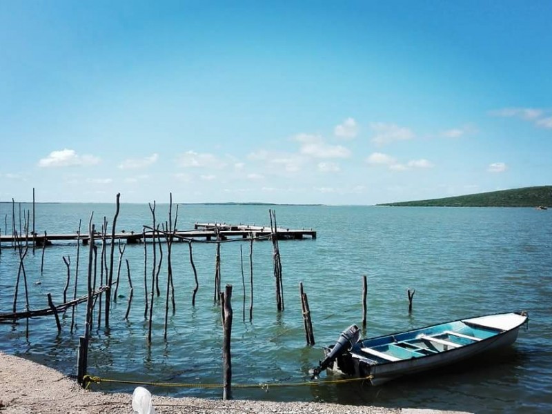 Icatsin prepara cursos para pescadores de Guasave